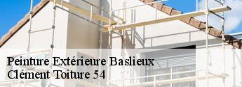 Peinture Extérieure baslieux-54620 Clément Toiture 54