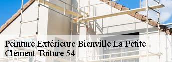Peinture Extérieure bienville-la-petite-54300 Clément Toiture 54