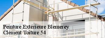 Peinture Extérieure blemerey-54450 Clément Toiture 54