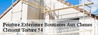 Peinture Extérieure bouxieres-aux-chenes-54770 Clément Toiture 54