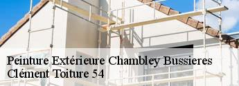 Peinture Extérieure  chambley-bussieres-54890 Clément Toiture 54