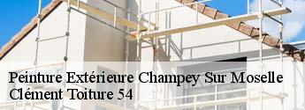 Peinture Extérieure champey-sur-moselle-54700 Clément Toiture 54