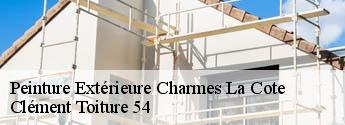 Peinture Extérieure charmes-la-cote-54113 Clément Toiture 54