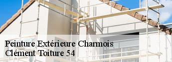 Peinture Extérieure  charmois-54360 Clément Toiture 54