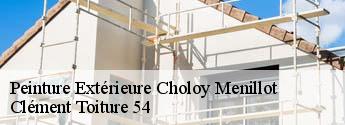Peinture Extérieure choloy-menillot-54200 Clément Toiture 54