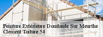Peinture Extérieure dombasle-sur-meurthe-54110 Clément Toiture 54