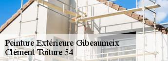 Peinture Extérieure gibeaumeix-54112 Clément Toiture 54