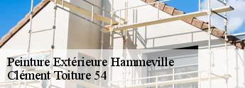 Peinture Extérieure hammeville-54330 Clément Toiture 54