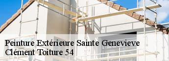 Peinture Extérieure sainte-genevieve-54700 Clément Toiture 54