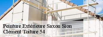 Peinture Extérieure saxon-sion-54330 Clément Toiture 54