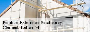 Peinture Extérieure  seicheprey-54470 Clément Toiture 54