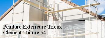 Peinture Extérieure trieux-54750 Clément Toiture 54