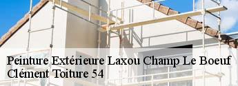 Peinture Extérieure laxou-champ-le-boeuf-54520 Clément Toiture 54