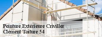Peinture Extérieure  criviller-54120 Clément Toiture 54