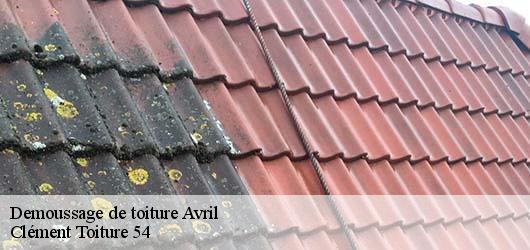 Demoussage de toiture  avril-54150 Clément Toiture 54