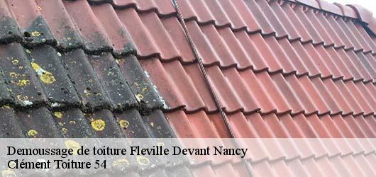 Demoussage de toiture fleville-devant-nancy-54710 Clément Toiture 54