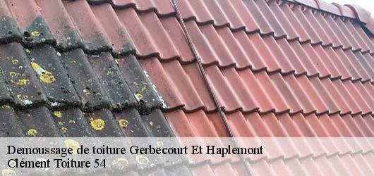Demoussage de toiture  gerbecourt-et-haplemont-54740 Clément Toiture 54