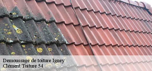 Demoussage de toiture  igney-54450 Clément Toiture 54