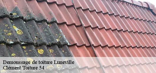 Demoussage de toiture  luneville-54300 Clément Toiture 54