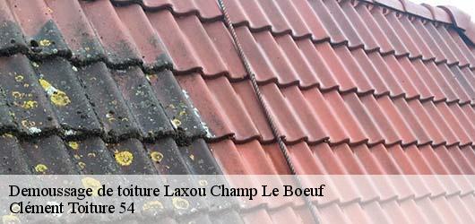 Demoussage de toiture laxou-champ-le-boeuf-54520 Clément Toiture 54