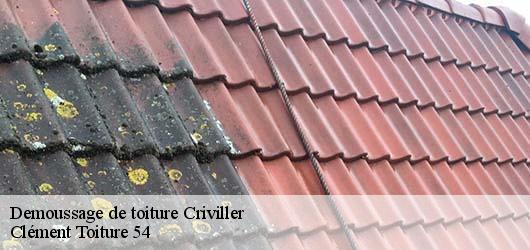 Demoussage de toiture  criviller-54120 Clément Toiture 54