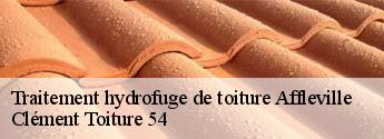 Traitement hydrofuge de toiture  affleville-54800 Clément Toiture 54