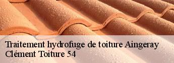 Traitement hydrofuge de toiture  aingeray-54460 Clément Toiture 54