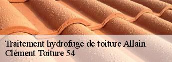 Traitement hydrofuge de toiture  allain-54170 Clément Toiture 54