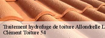 Traitement hydrofuge de toiture  allondrelle-la-malmaison-54260 Clément Toiture 54