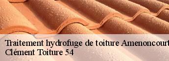 Traitement hydrofuge de toiture  amenoncourt-54450 Clément Toiture 54