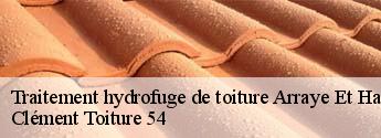 Traitement hydrofuge de toiture  arraye-et-han-54760 Clément Toiture 54