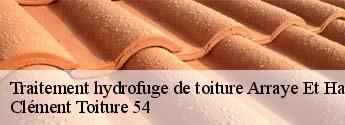 Traitement hydrofuge de toiture arraye-et-han-54760 Clément Toiture 54