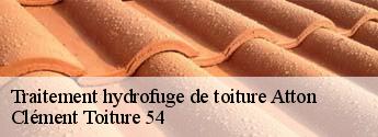 Traitement hydrofuge de toiture  atton-54700 Clément Toiture 54