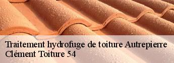 Traitement hydrofuge de toiture  autrepierre-54450 Clément Toiture 54