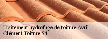 Traitement hydrofuge de toiture  avril-54150 Clément Toiture 54