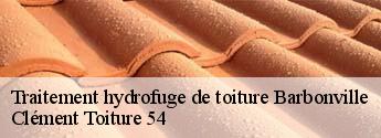 Traitement hydrofuge de toiture  barbonville-54360 Clément Toiture 54