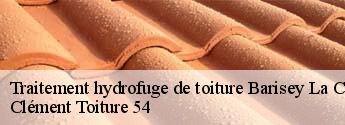 Traitement hydrofuge de toiture  barisey-la-cote-54170 Clément Toiture 54