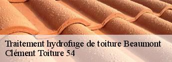 Traitement hydrofuge de toiture  beaumont-54470 Clément Toiture 54