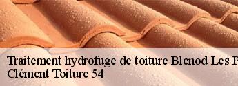 Traitement hydrofuge de toiture blenod-les-pont-a-mousson-54700 Clément Toiture 54