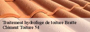Traitement hydrofuge de toiture  bratte-54610 Clément Toiture 54