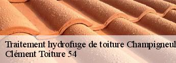 Traitement hydrofuge de toiture  champigneulles-54250 Clément Toiture 54