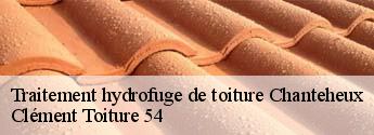 Traitement hydrofuge de toiture  chanteheux-54300 Clément Toiture 54