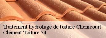 Traitement hydrofuge de toiture  chenicourt-54610 Clément Toiture 54