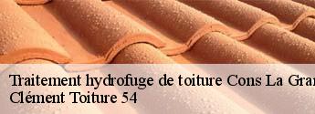 Traitement hydrofuge de toiture  cons-la-grandville-54870 Clément Toiture 54