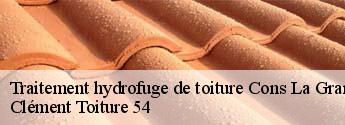 Traitement hydrofuge de toiture cons-la-grandville-54870 Clément Toiture 54