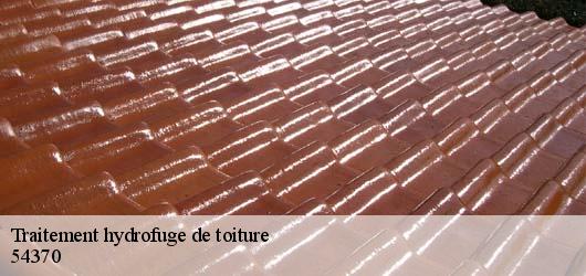 Traitement hydrofuge de toiture 54370