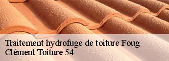 Traitement hydrofuge de toiture foug-54570 Clément Toiture 54