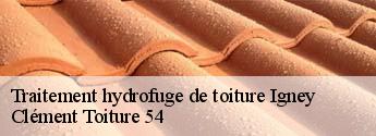 Traitement hydrofuge de toiture  igney-54450 Clément Toiture 54