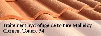 Traitement hydrofuge de toiture  malleloy-54670 Clément Toiture 54
