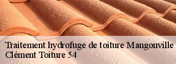 Traitement hydrofuge de toiture mangonville-54290 Clément Toiture 54